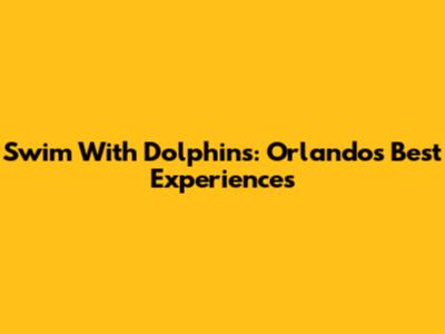 Swim With Dolphins: Orlando's Best Experiences