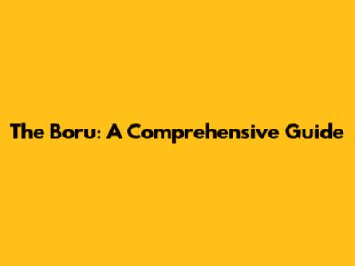 The Boru: A Comprehensive Guide