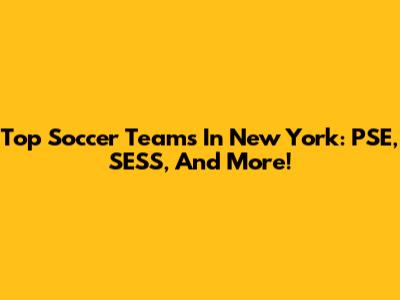 Top Soccer Teams In New York: PSE, SESS, And More!