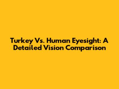 Turkey Vs. Human Eyesight: A Detailed Vision Comparison