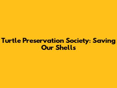 Turtle Preservation Society: Saving Our Shells
