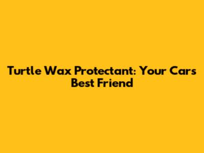 Turtle Wax Protectant: Your Car's Best Friend