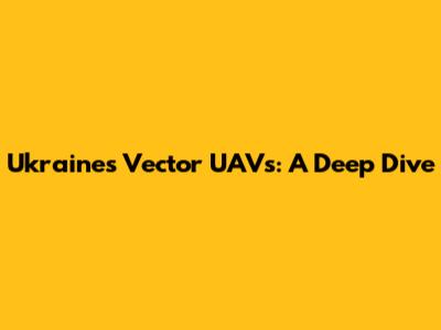 Ukraine's Vector UAVs: A Deep Dive