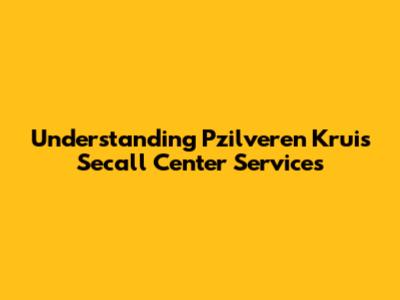 Understanding Pzilveren Kruis Secall Center Services