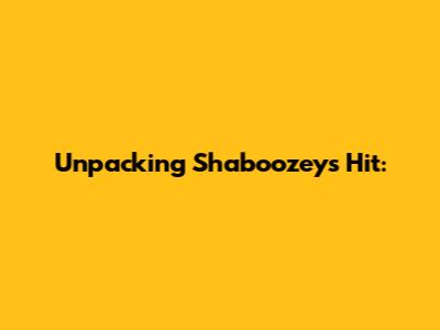 Unpacking Shaboozey's Hit: 