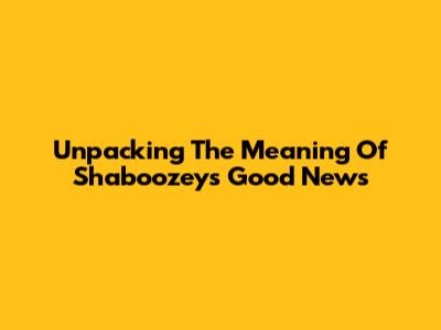 Unpacking The Meaning Of Shaboozey's 'Good News'