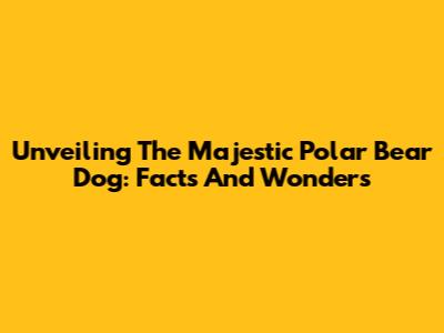 Unveiling The Majestic Polar Bear Dog: Facts And Wonders