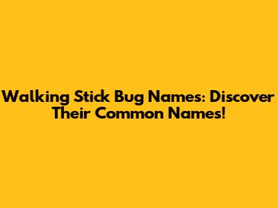Walking Stick Bug Names: Discover Their Common Names!