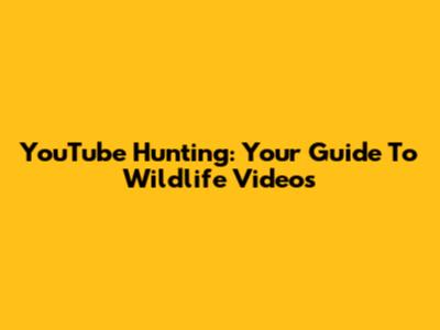 YouTube Hunting: Your Guide To Wildlife Videos