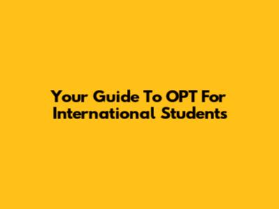 Your Guide To OPT For International Students