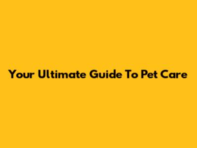Your Ultimate Guide To Pet Care